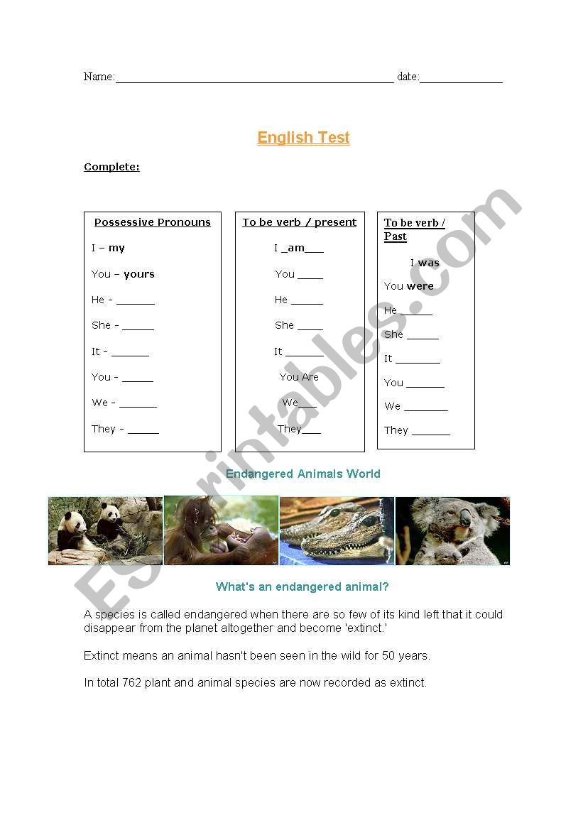english test for begginers worksheet