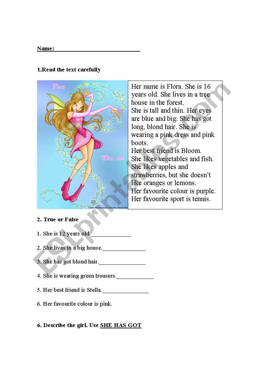 Reading Comprehension worksheet