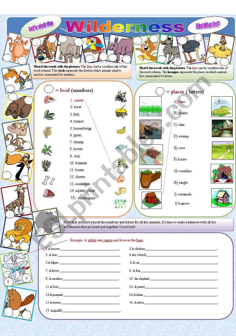 Lets visit the wilderness! worksheet