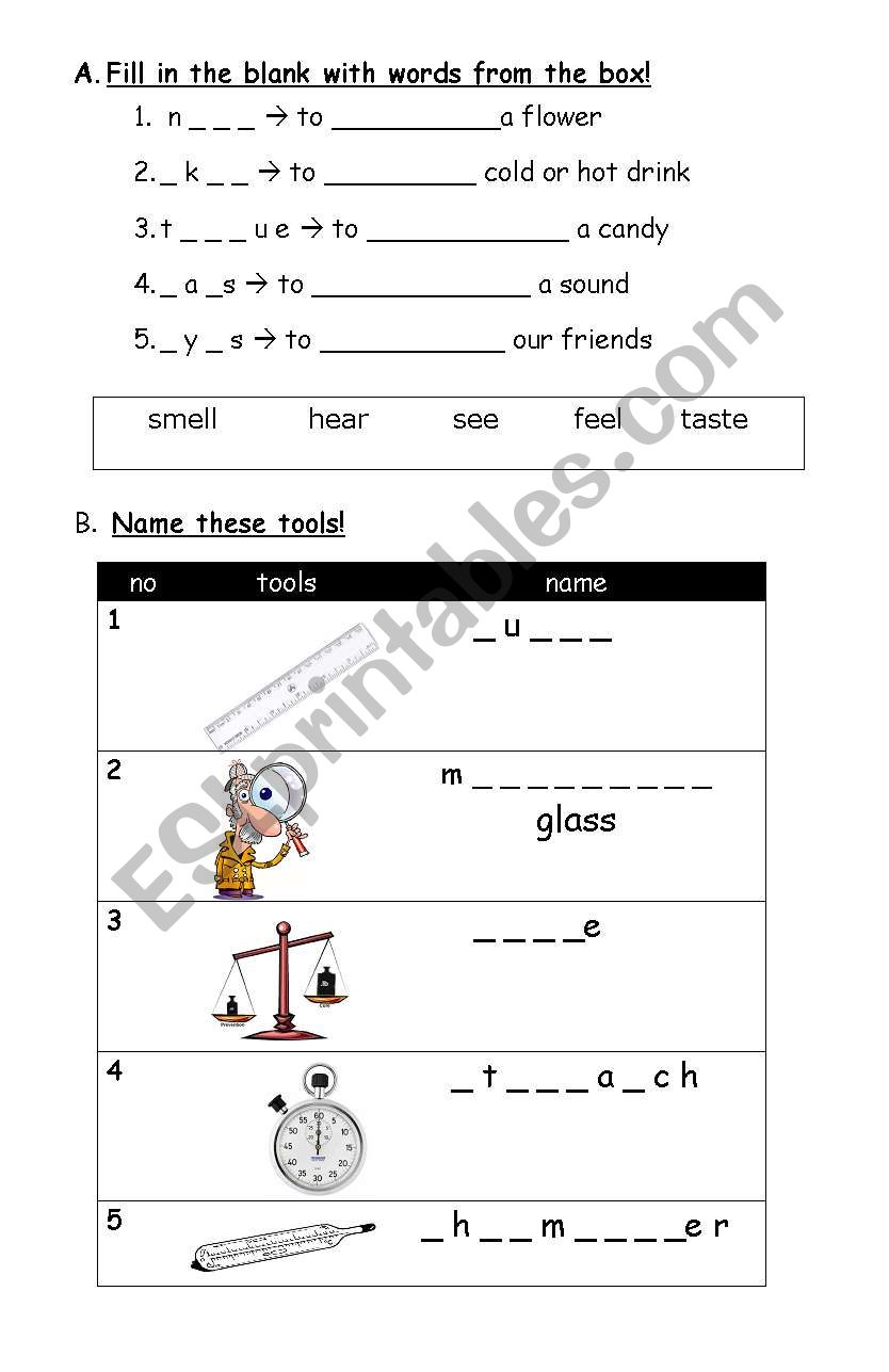 Five Senses & Instruments in Learning Science