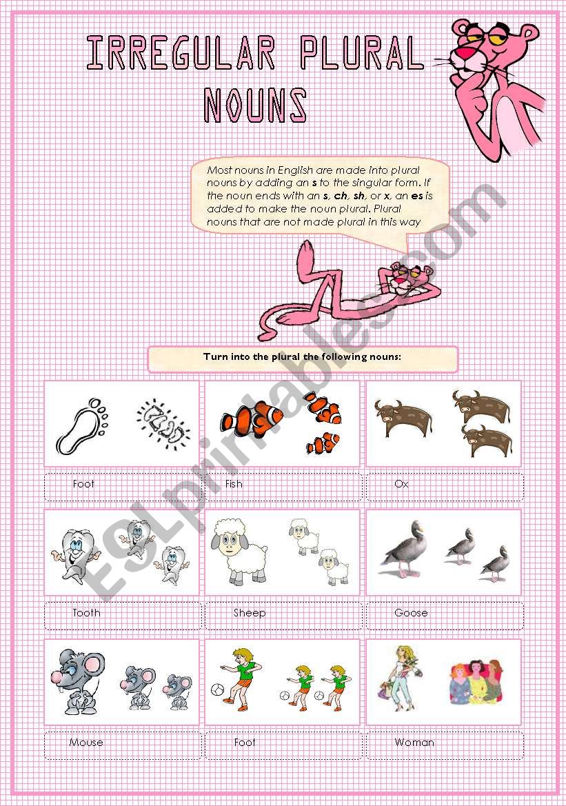 Irregular Plural Nouns  worksheet