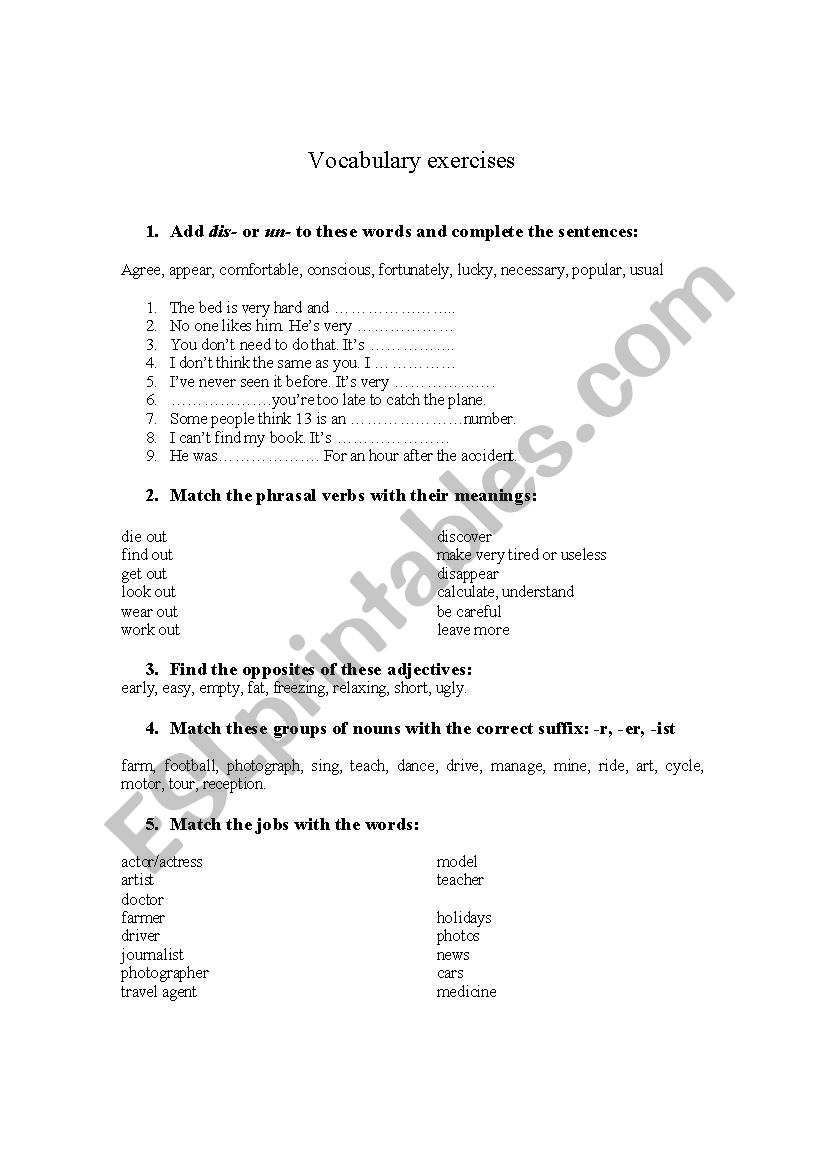 Vocabulary exercises worksheet
