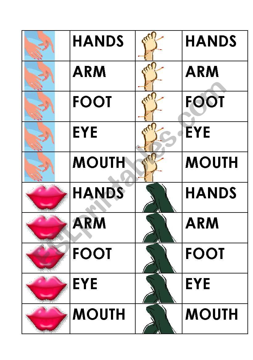 Body Part Domino - Cards (Domino1)