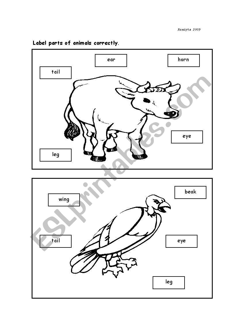 Parts of animal worksheet