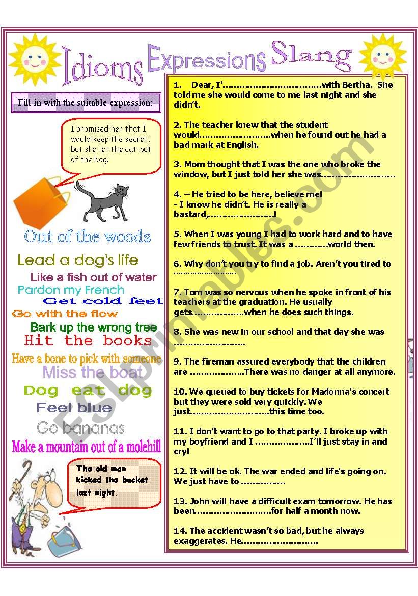 Idioms, slang, expressions worksheet