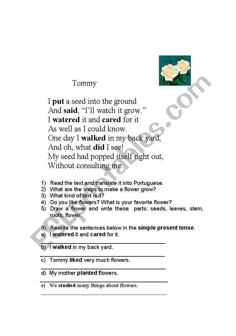 flowers - simple past tense worksheet