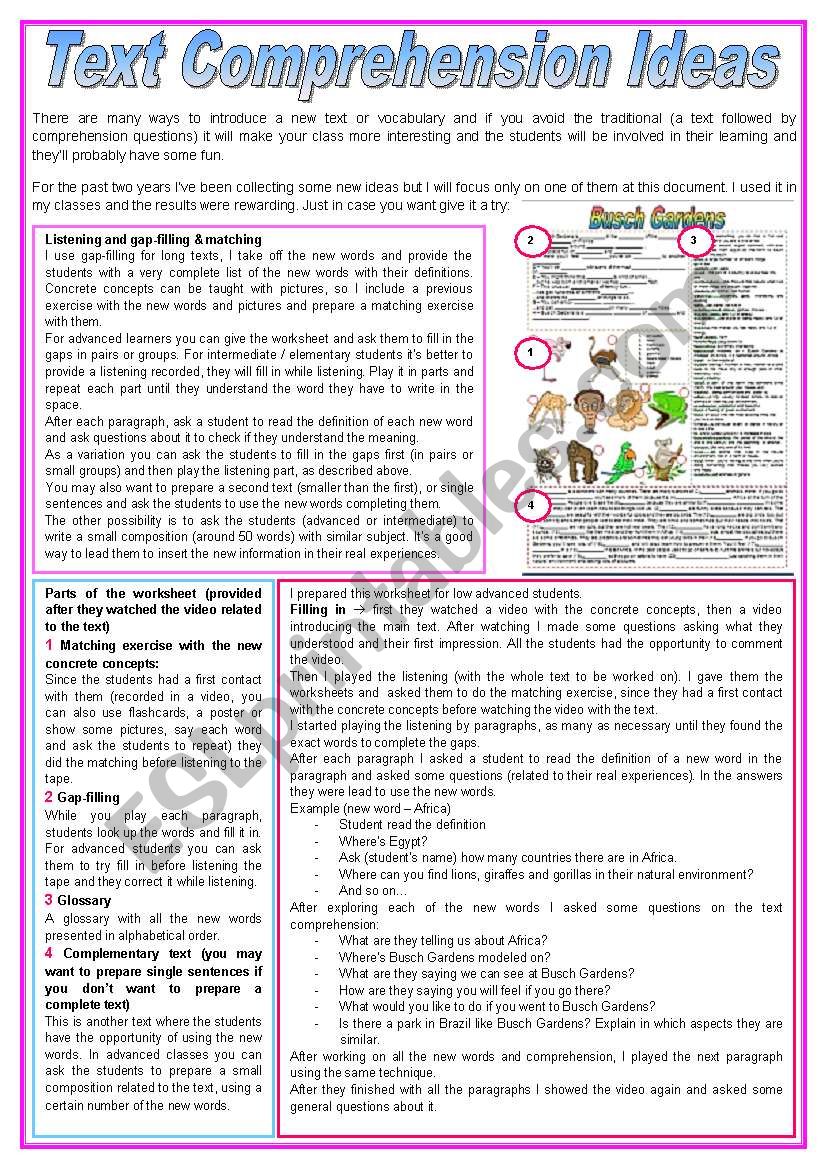 Text Comprehension Ideas worksheet