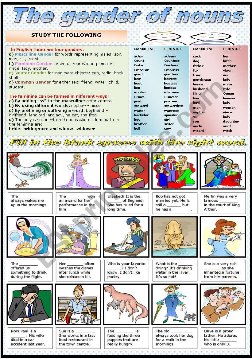 THE GENDER OF NOUNS-GRAMMAR AND EXERCISES (B&W VERSION INCLUDED)