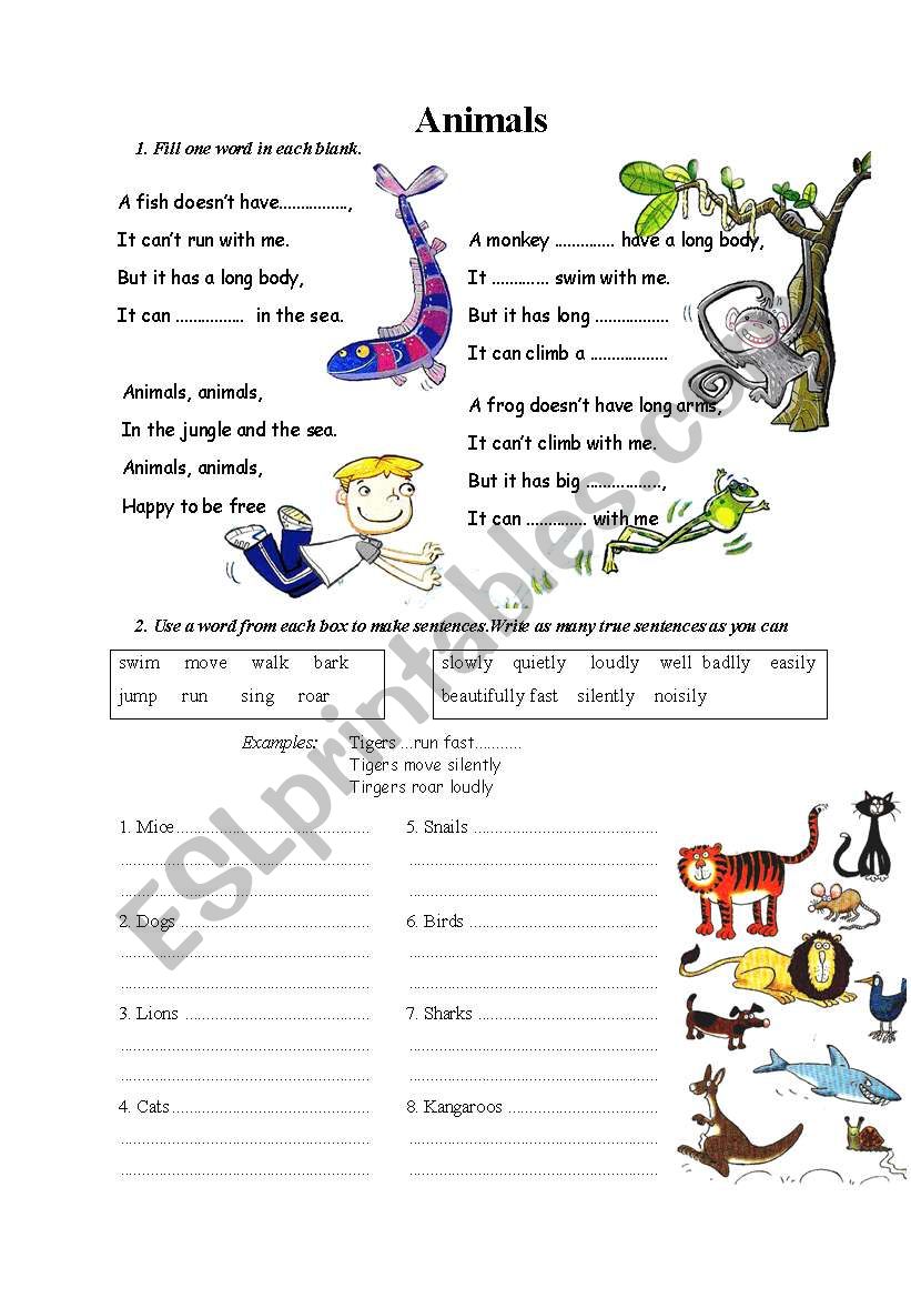 animals worksheet