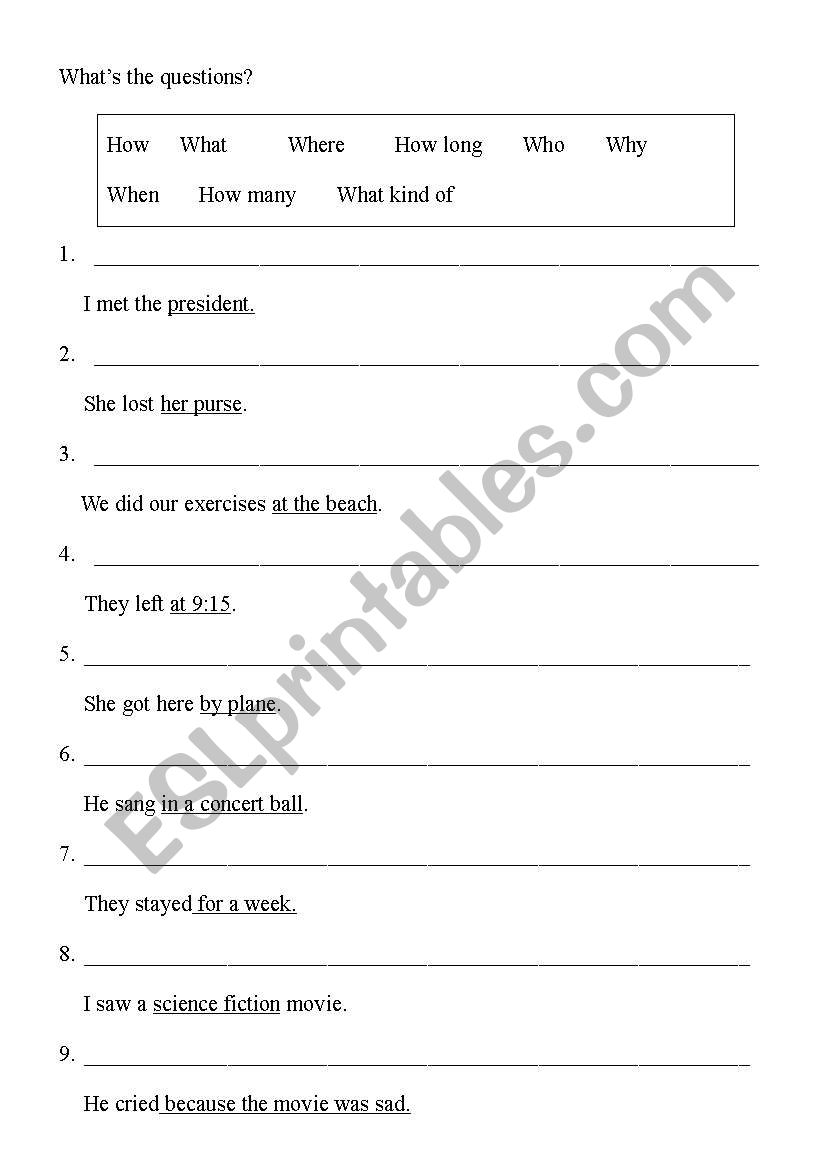 question words worksheet