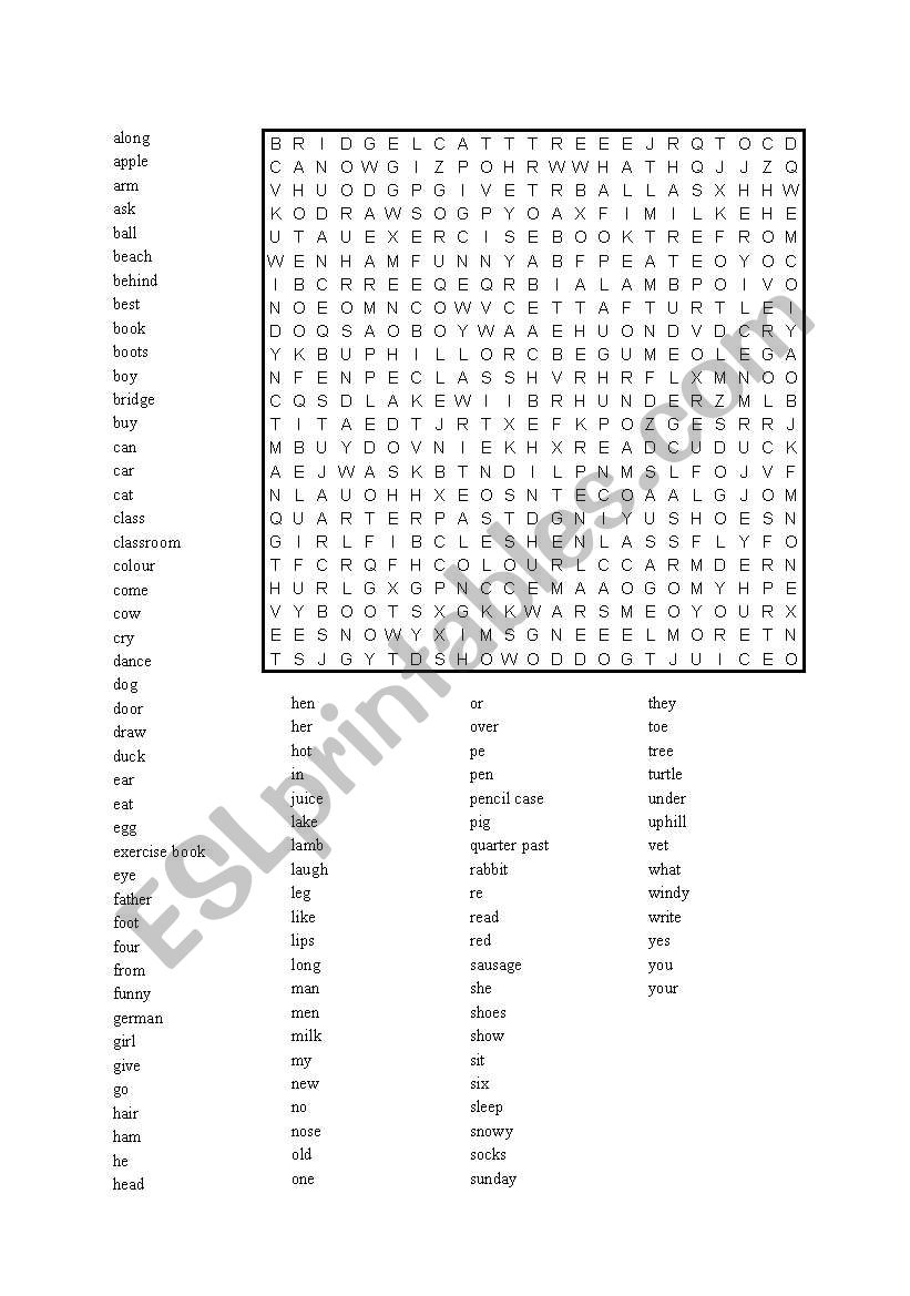 Find the words worksheet