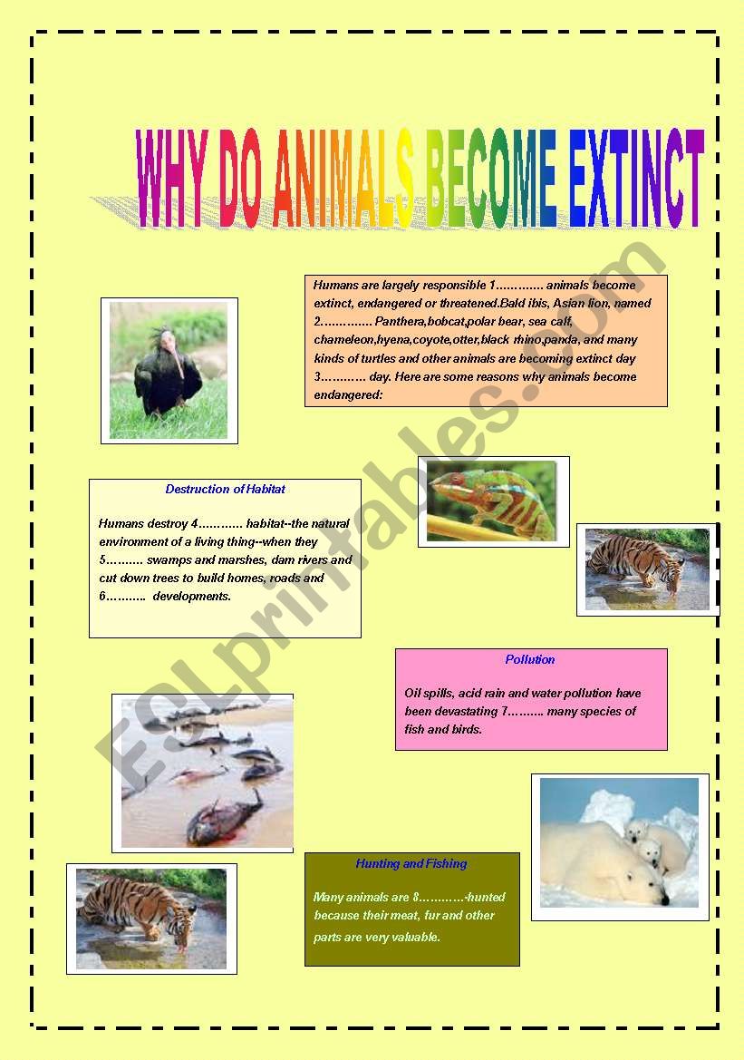 Animals are becoming extinct worksheet