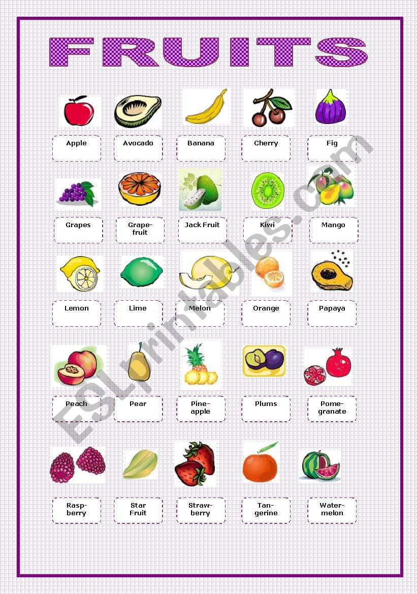 Fruit  picture vocabulary worksheet
