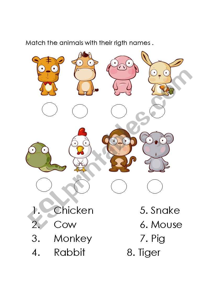 fun animals worksheet