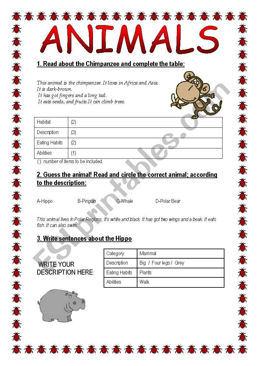 ANIMALS worksheet