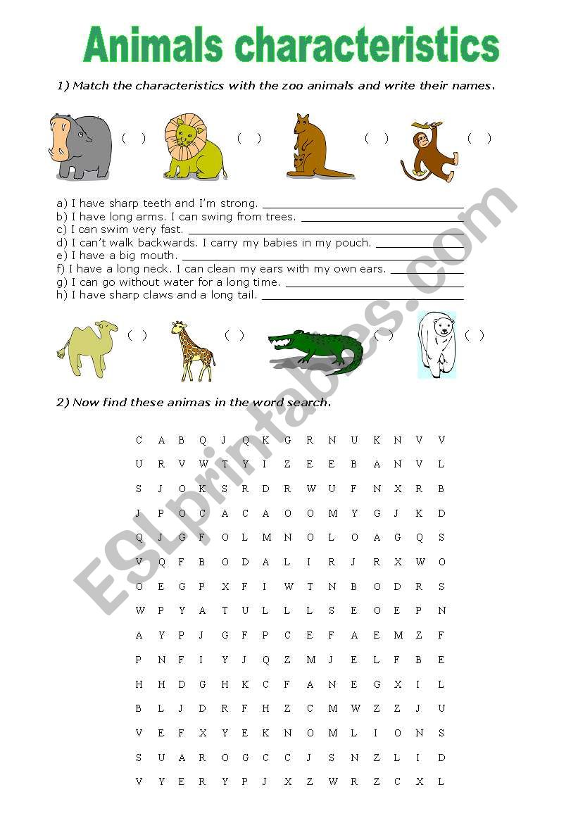 Animals characteristics worksheet