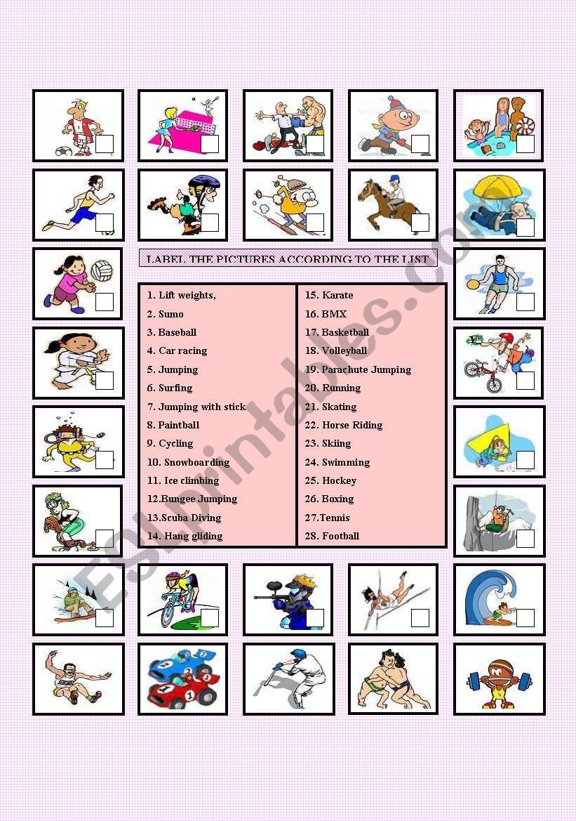 sports! worksheet