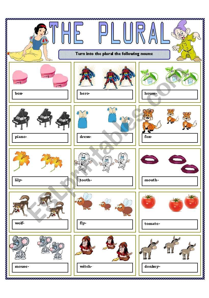 THE PLURAL worksheet