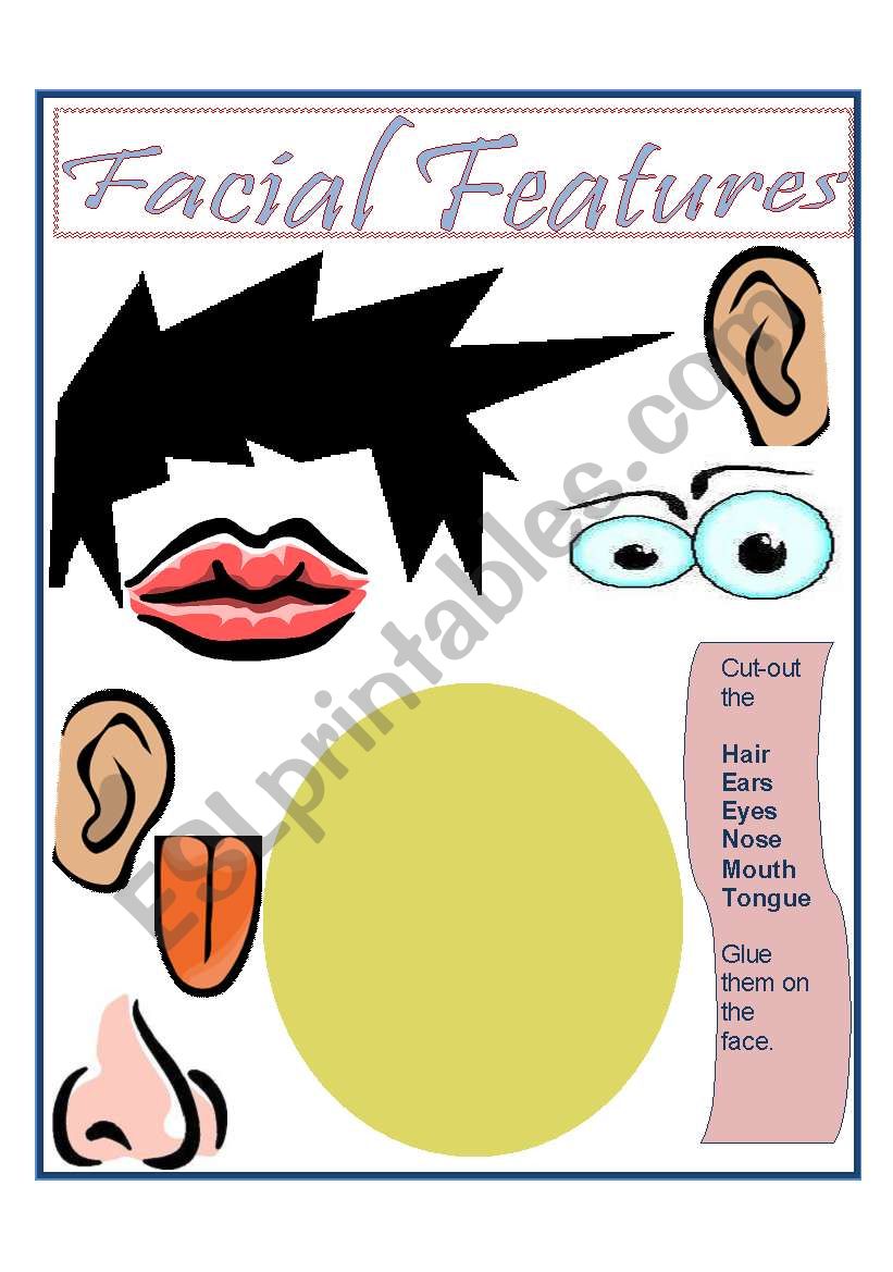 Facial Features worksheet