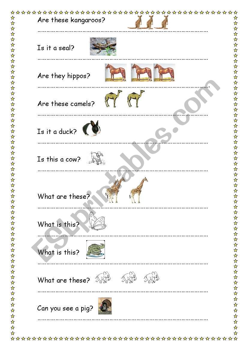 Read and anwer with short forms.