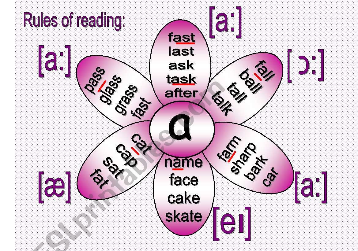 Rules of reading 1 worksheet