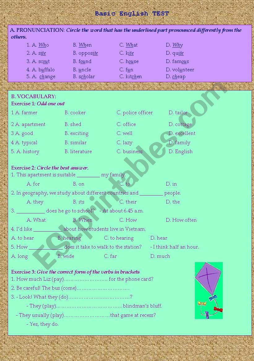 basic-english-test-2-pages-esl-worksheet-by-rosemary108
