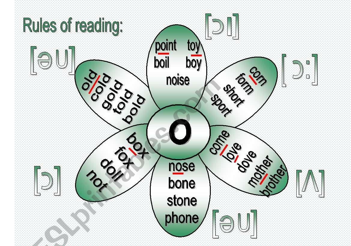 Rules of reading 2 worksheet