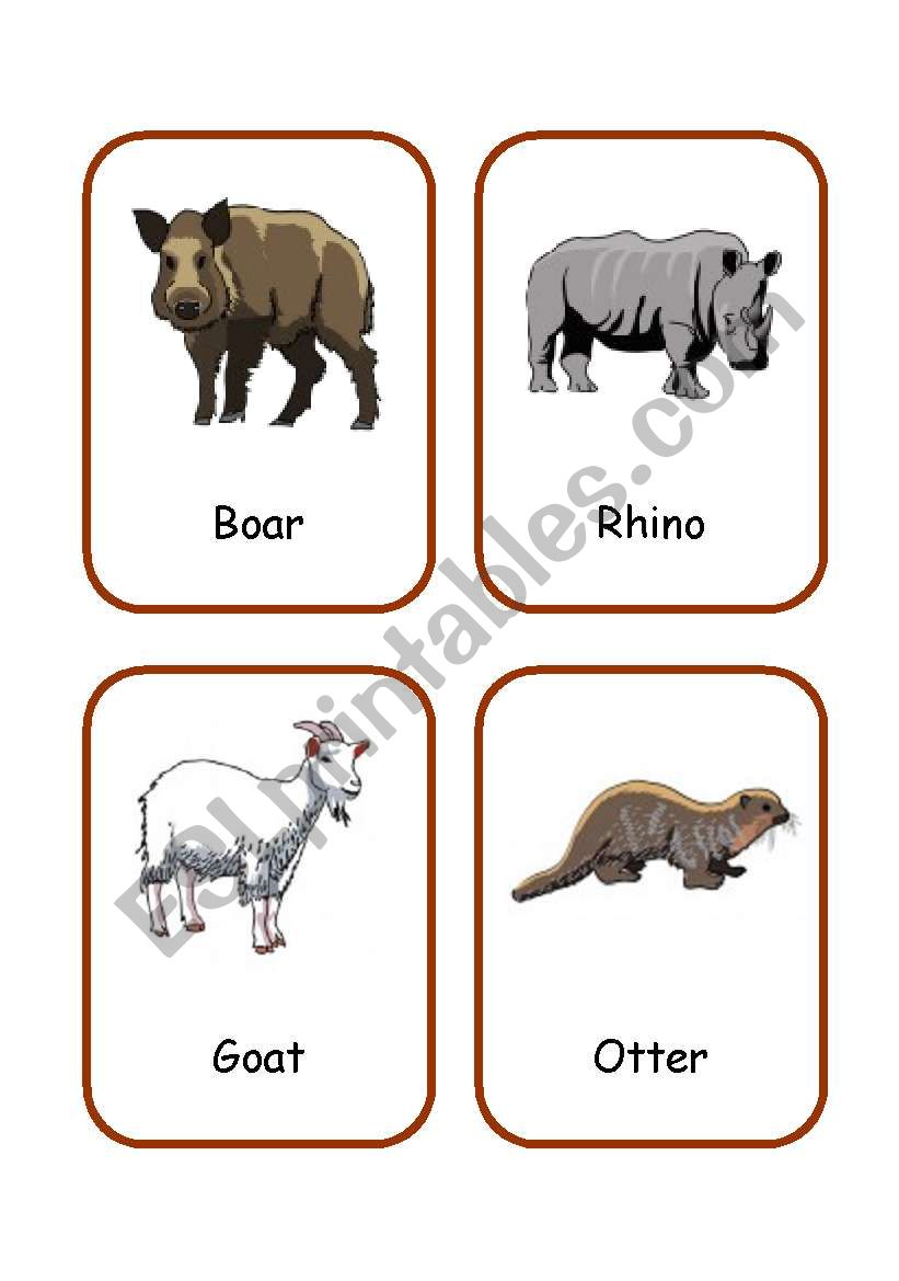 ANIMALS FLASHCARDS 3/3 worksheet