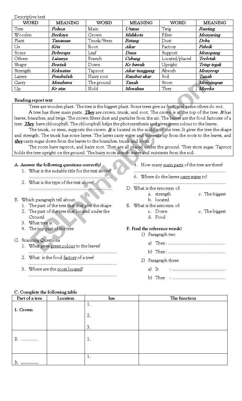 Reading Report text_Plant worksheet