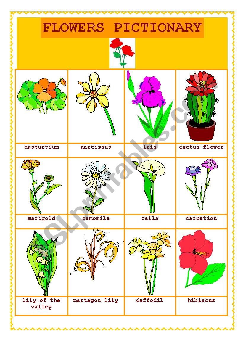 FLOWERS PICTIONARY worksheet