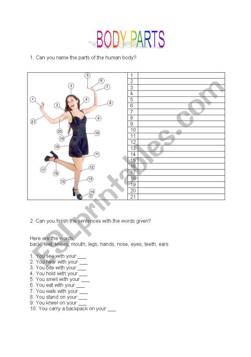 Body parts worksheet worksheet