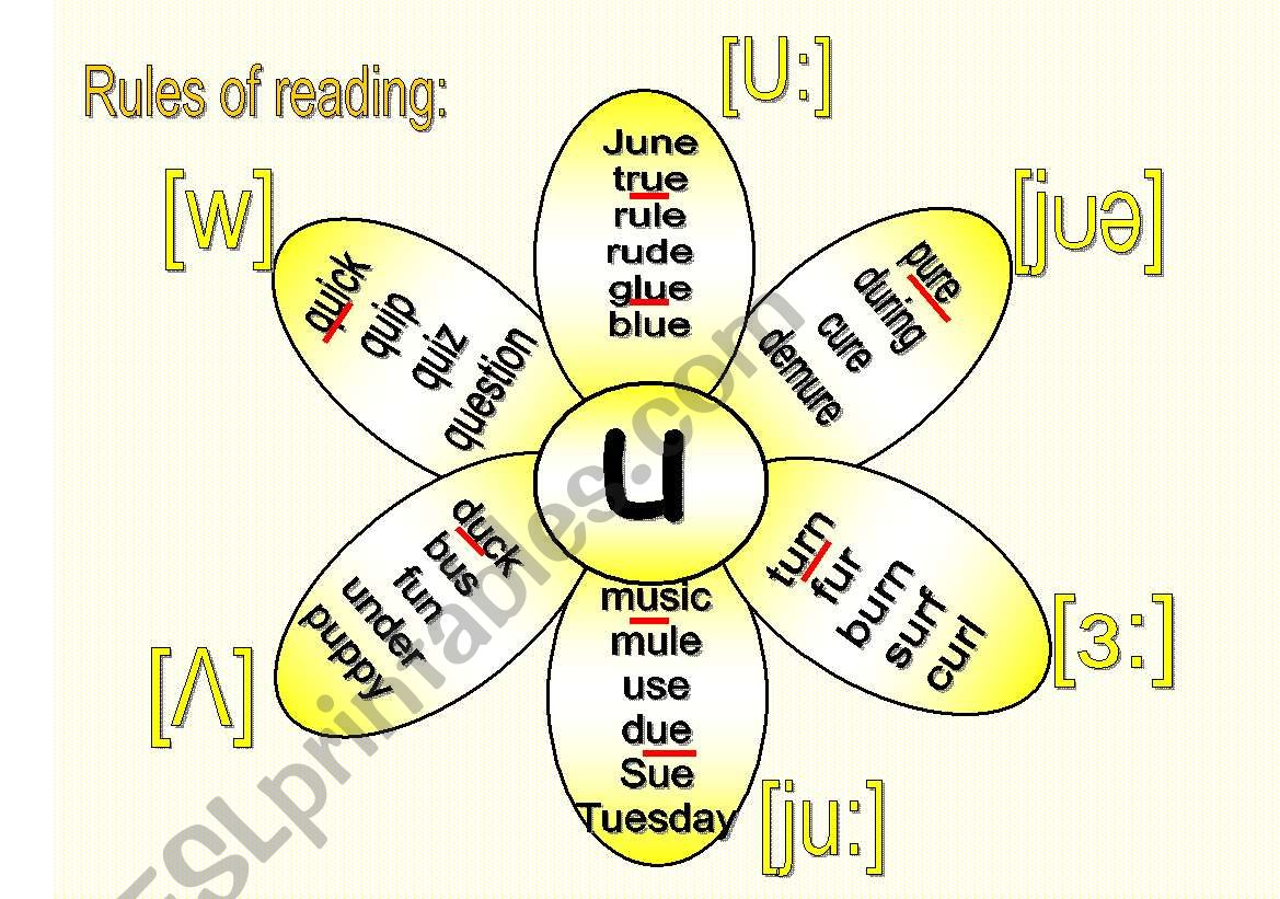 Rules of reading 4 worksheet