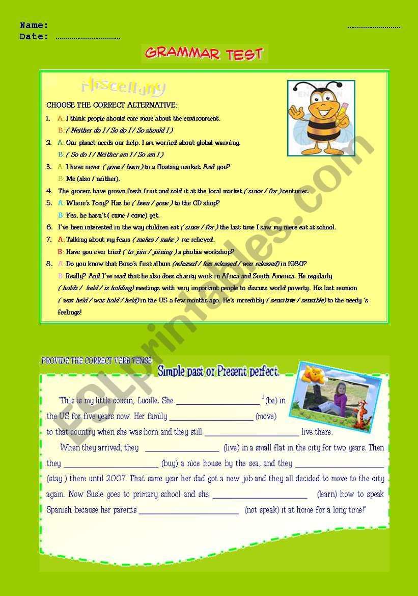 GRAMMAR TEST  worksheet