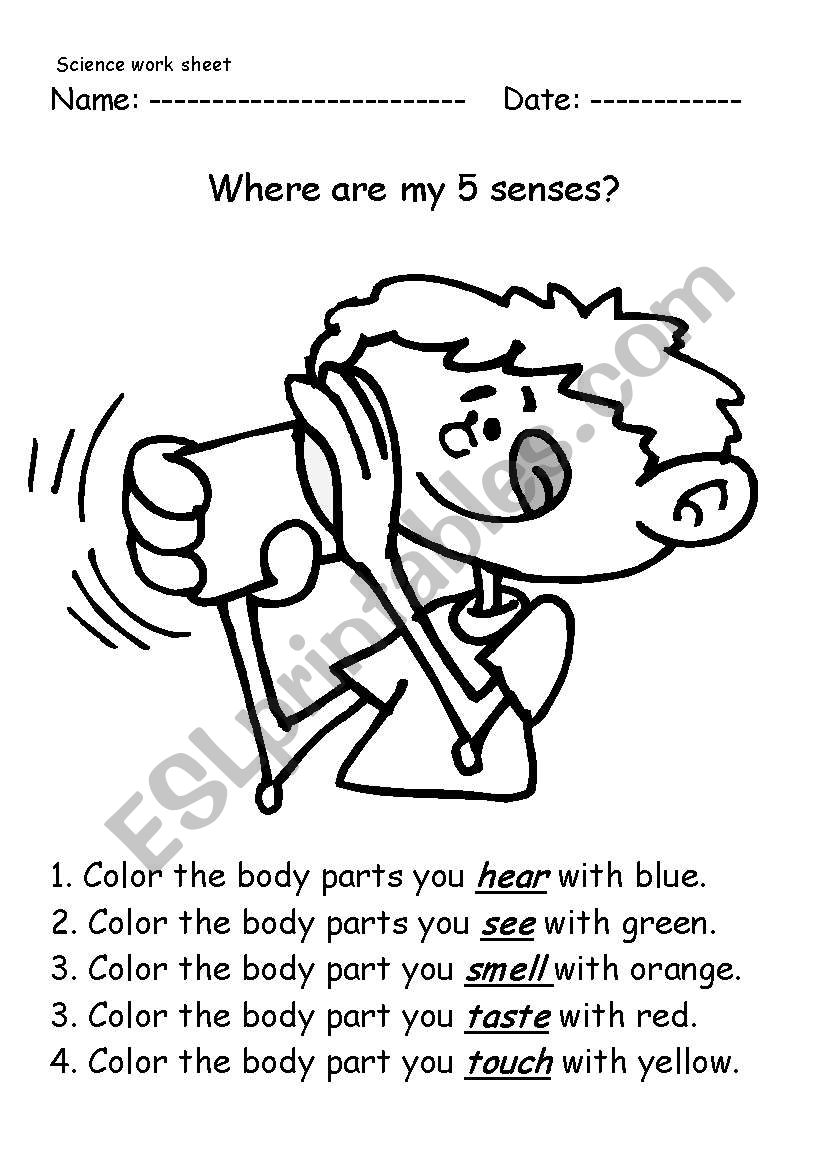 Five Sences worksheet