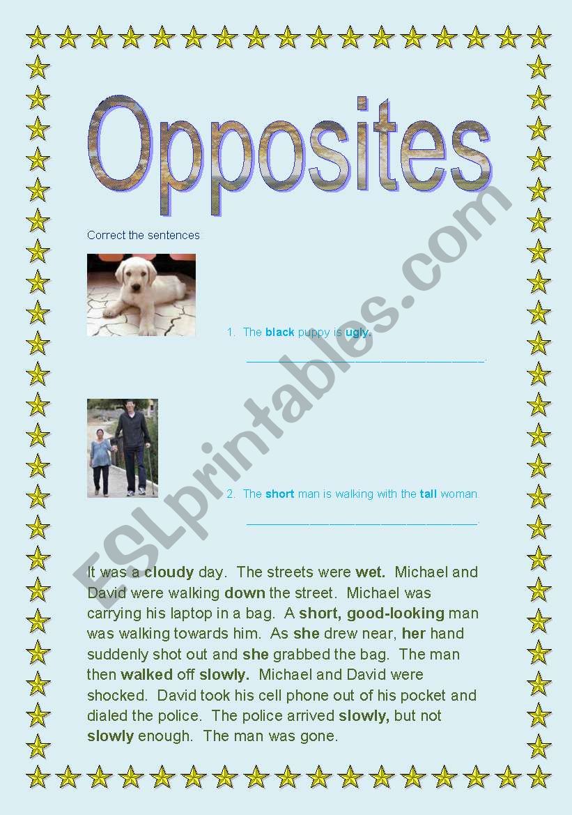 Opposites worksheet