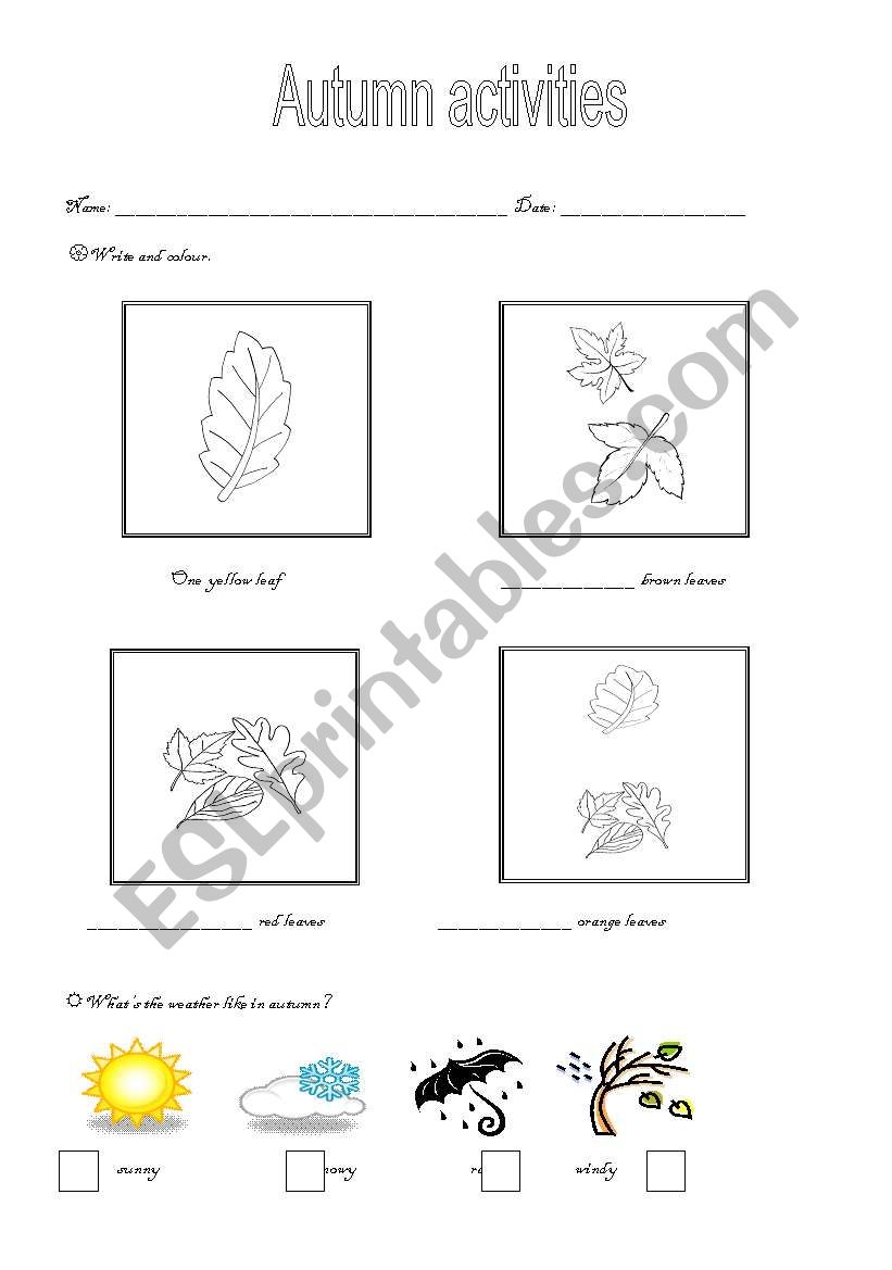 Autumn Activities worksheet