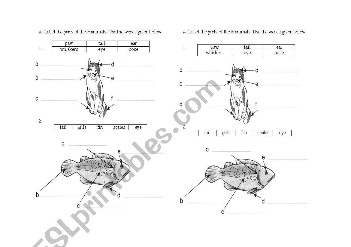 Label parts of animal worksheet