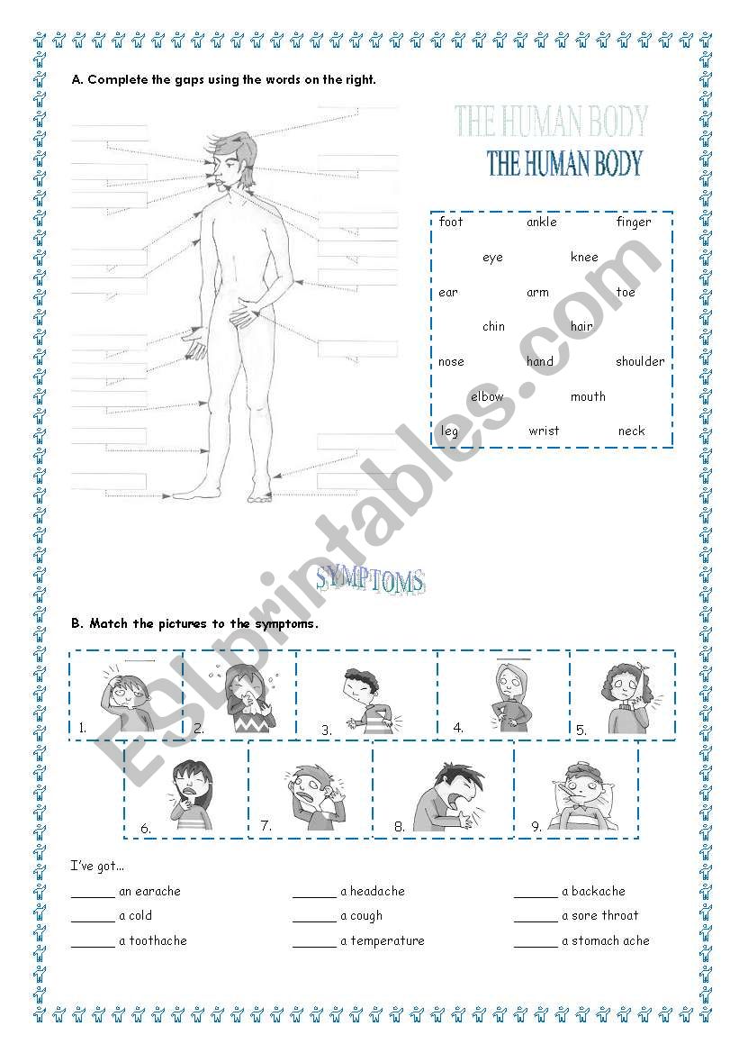 Human body + symptoms worksheet