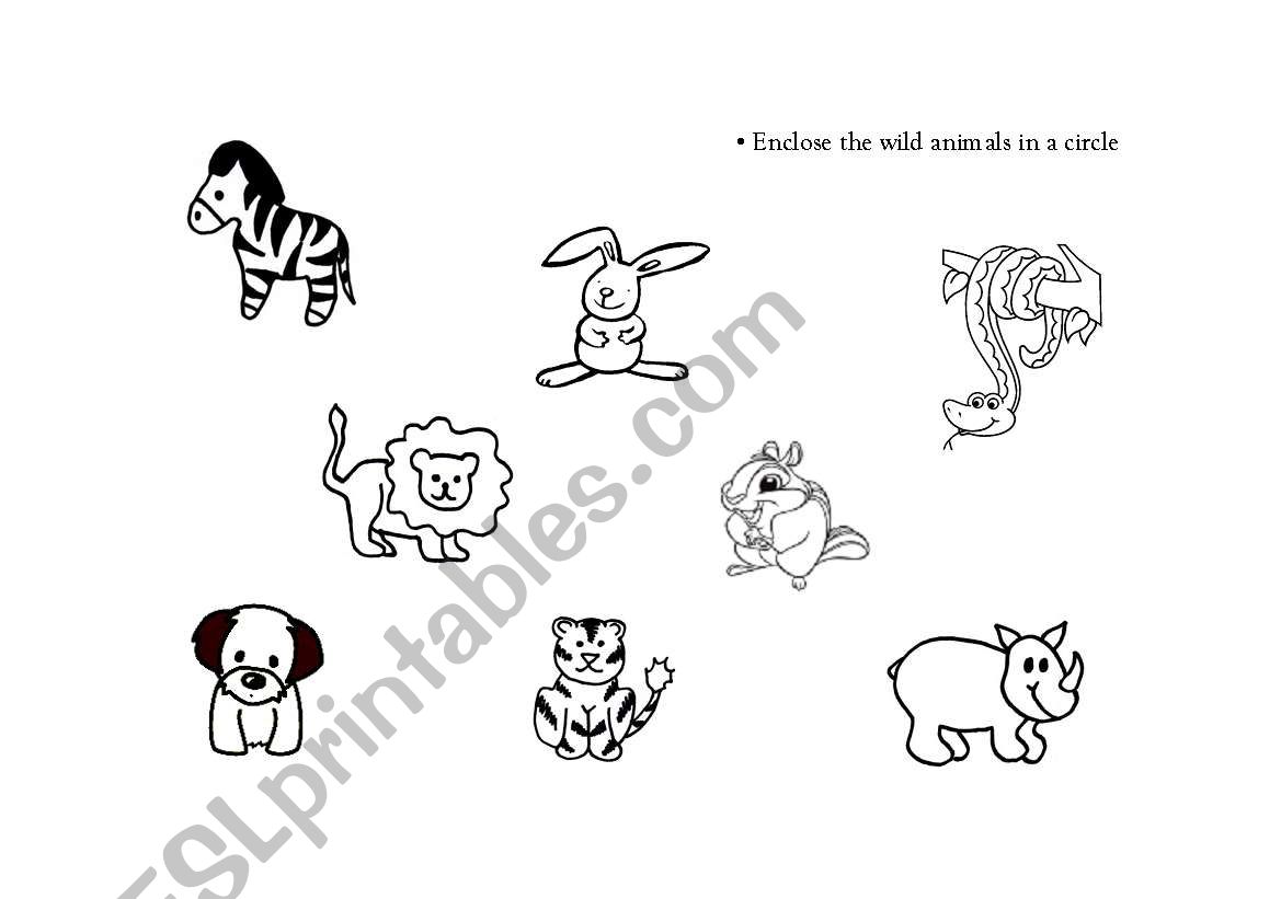 Wild animals worksheet