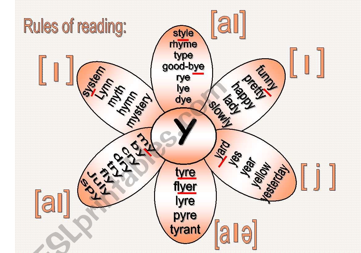 Rules of reading 5 worksheet