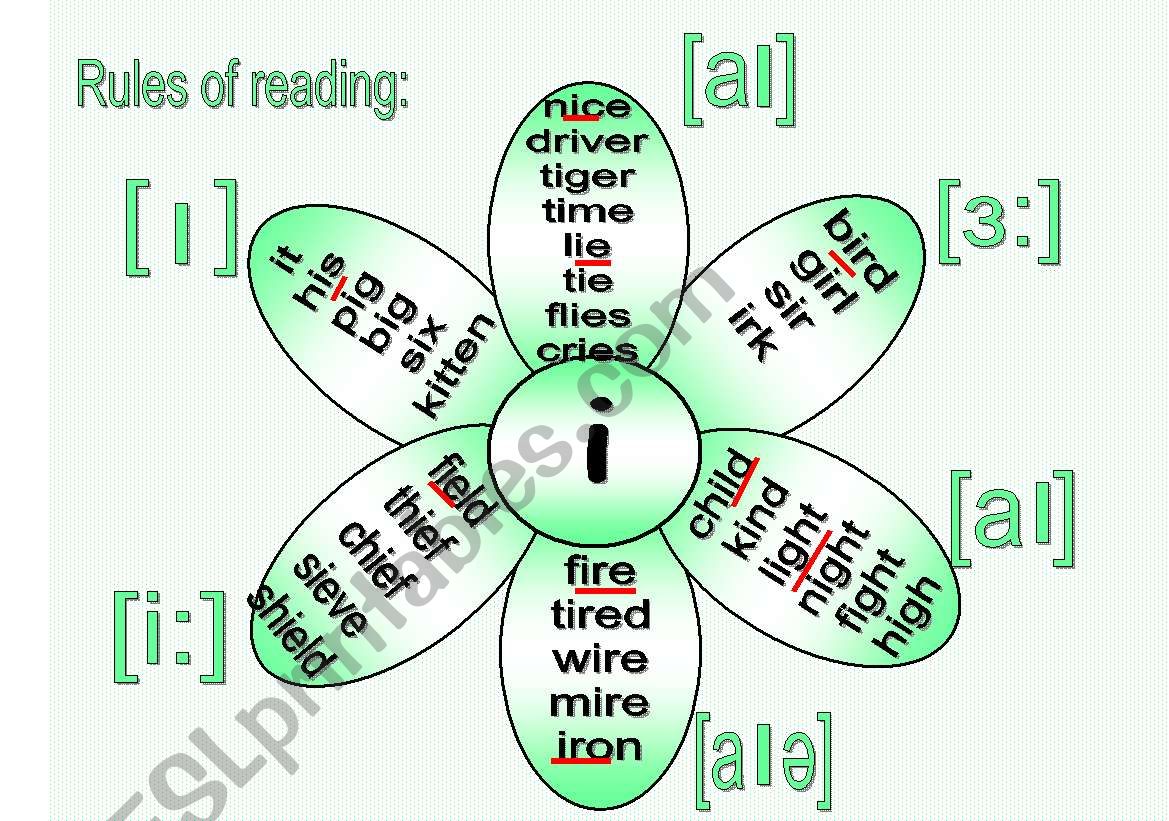 Rules of reading 6 worksheet