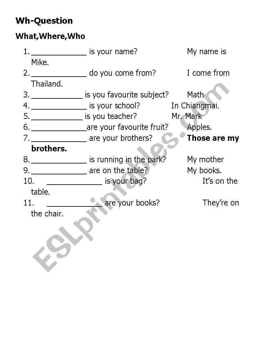What,When,Who worksheet