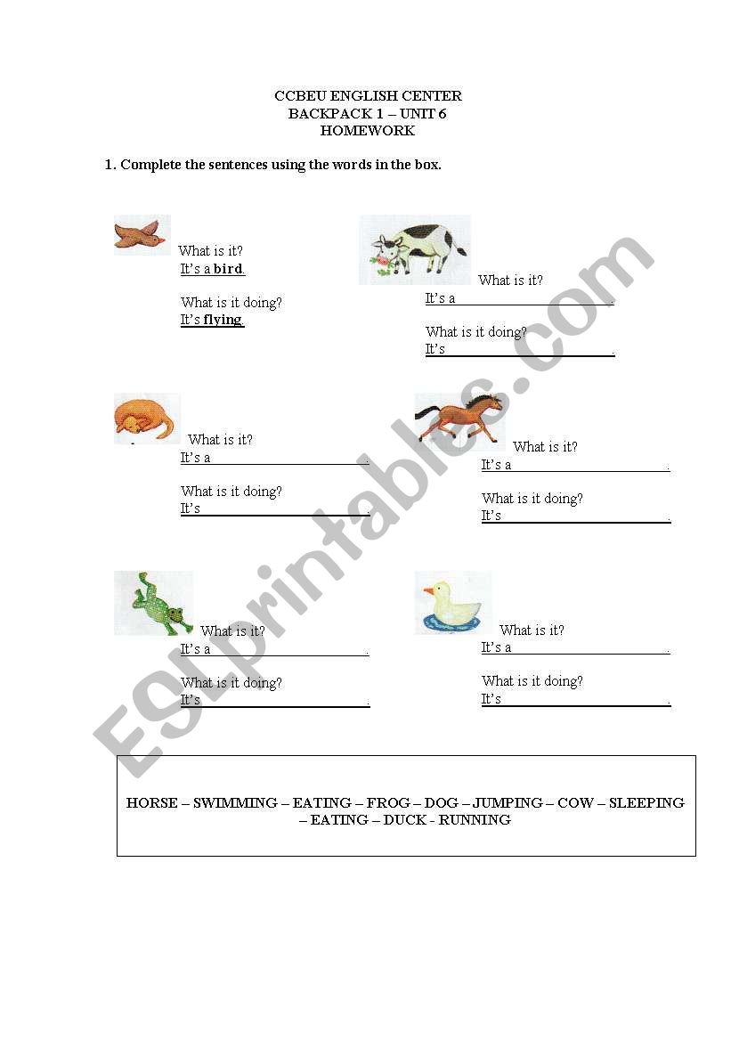 What is it? worksheet