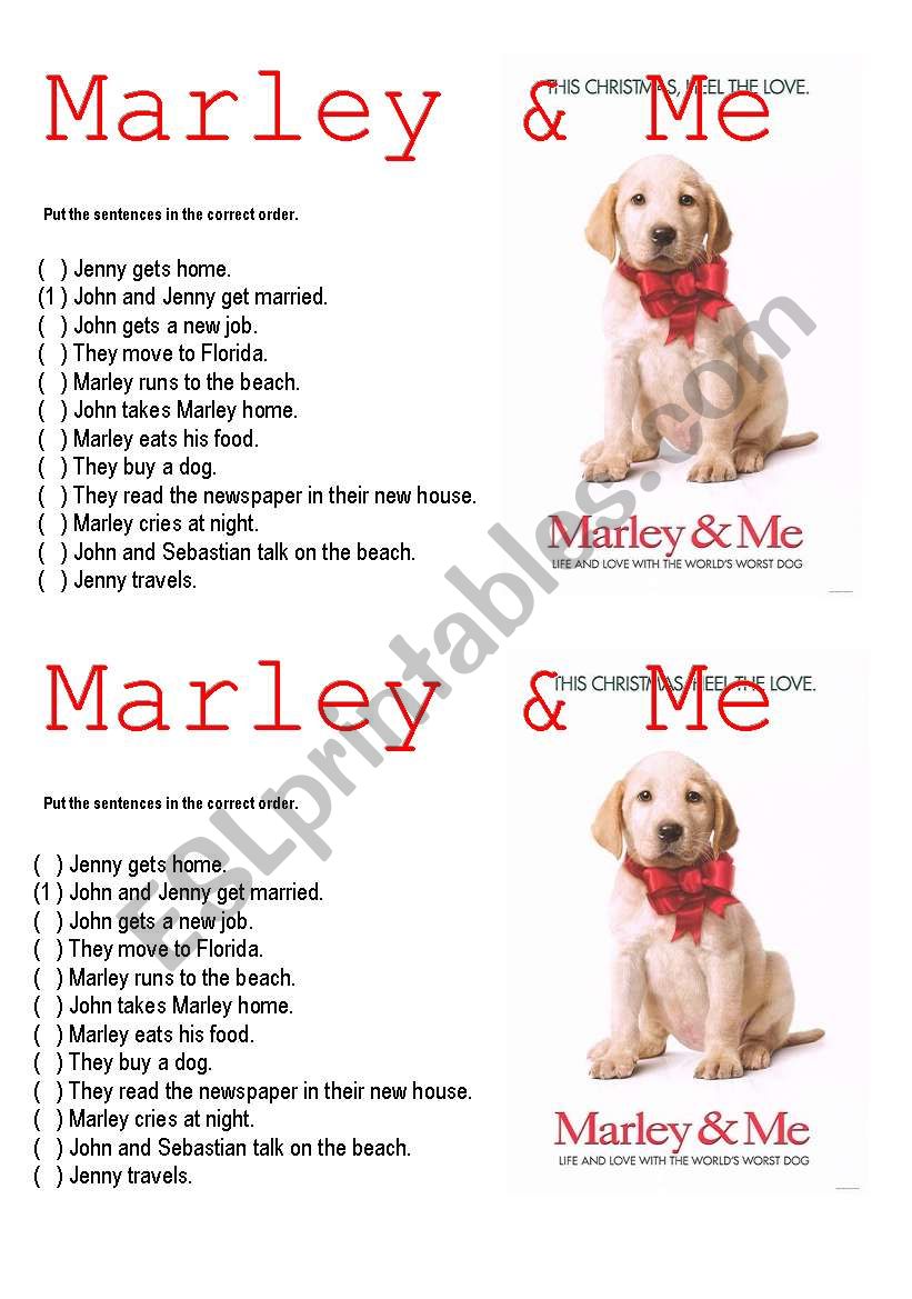 Marley & Me Video activity worksheet