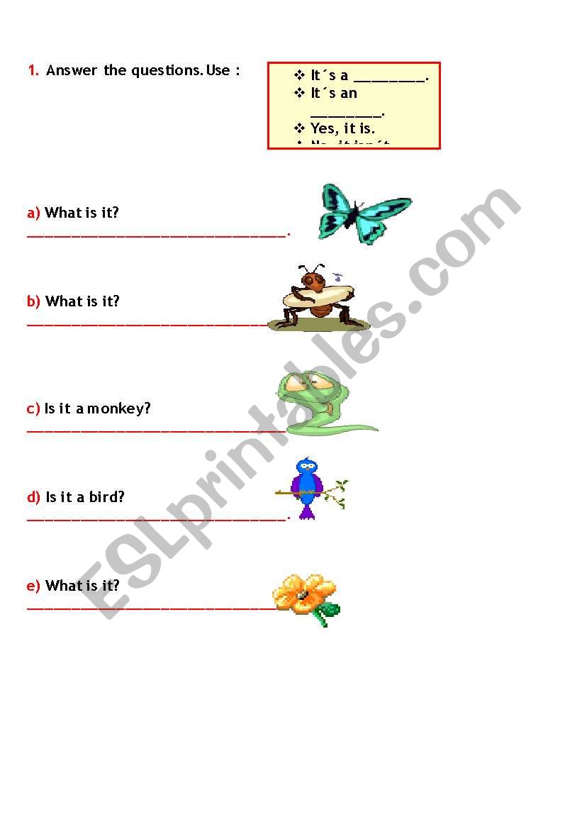 Animals worksheet