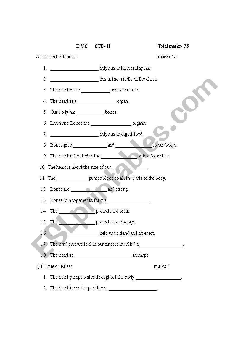 E.V.S Worksheet worksheet