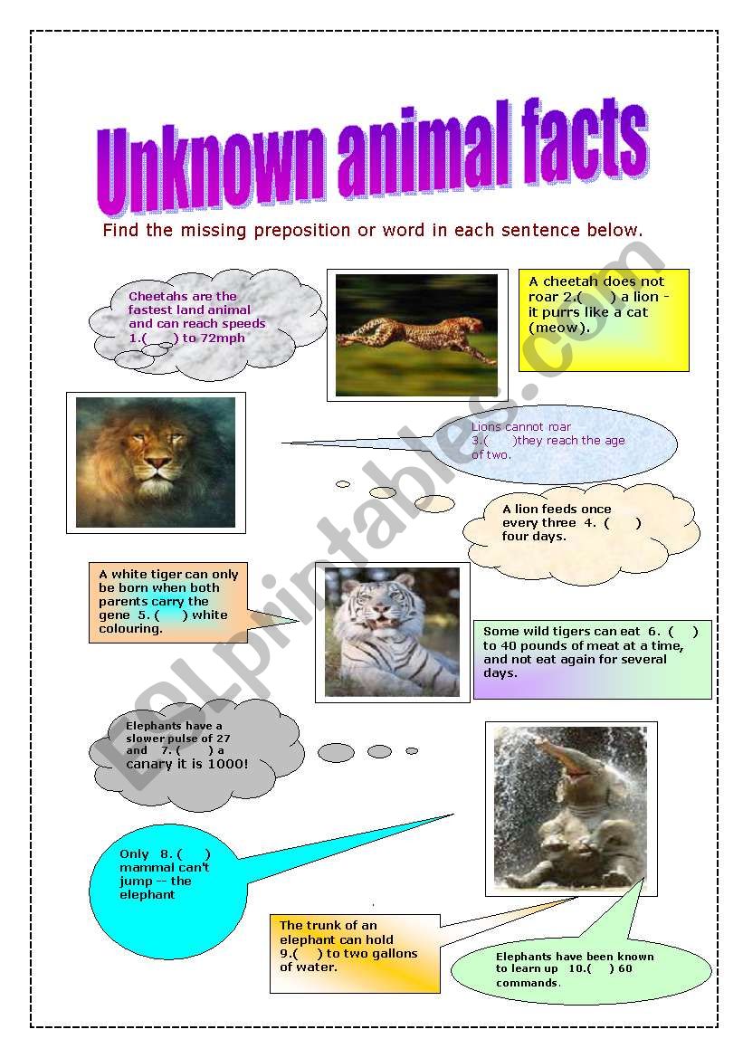Unknown animal facts worksheet