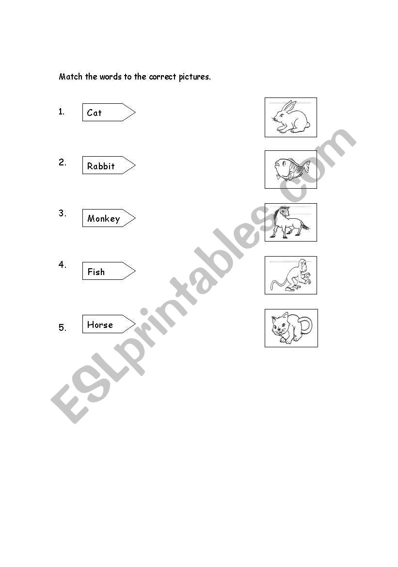 Animals worksheet