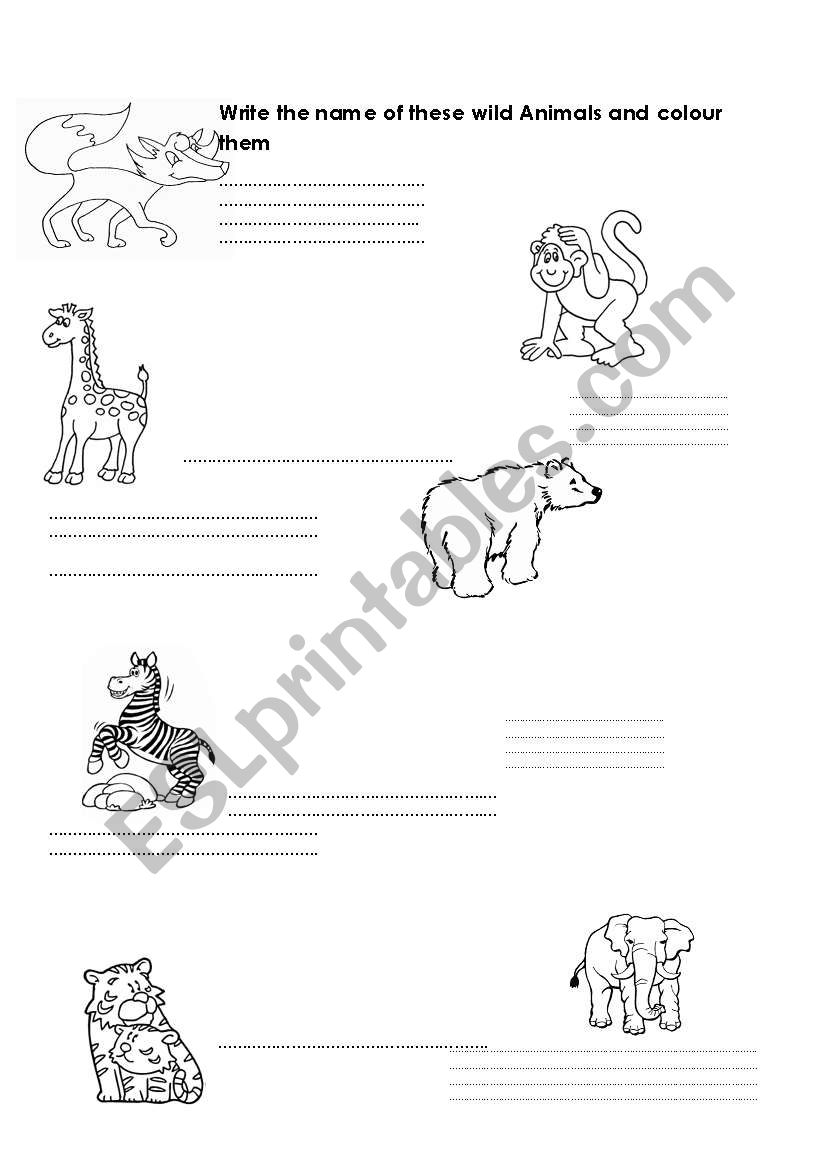 Wild animals worksheet