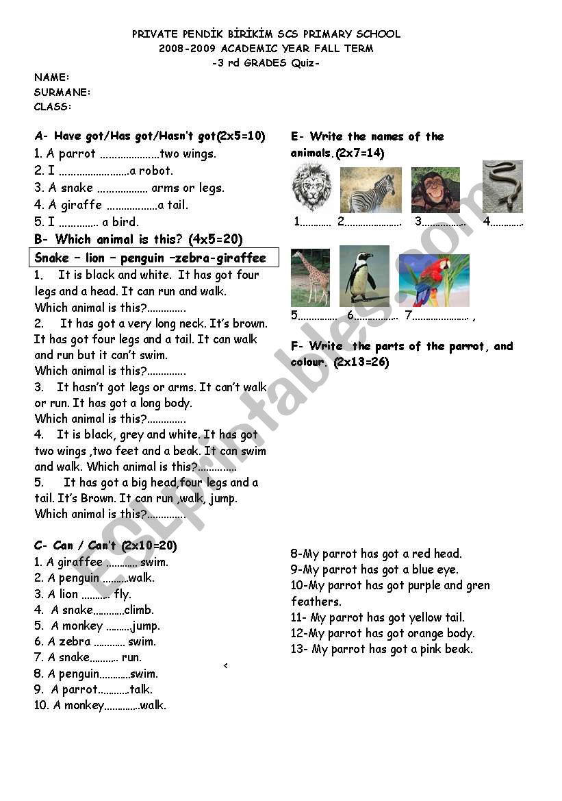 selin demirkran worksheet